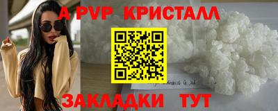 СК Новозыбков