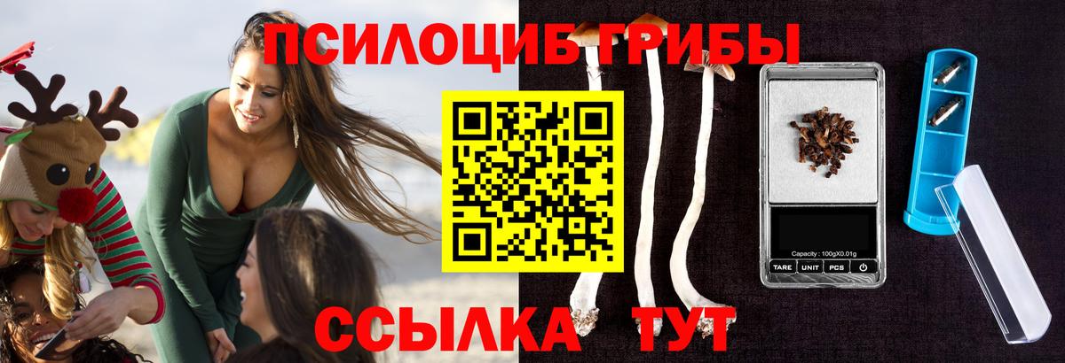 Галлюциногенные грибы Cubensis  Вход с VPN  Усть-Илимск 