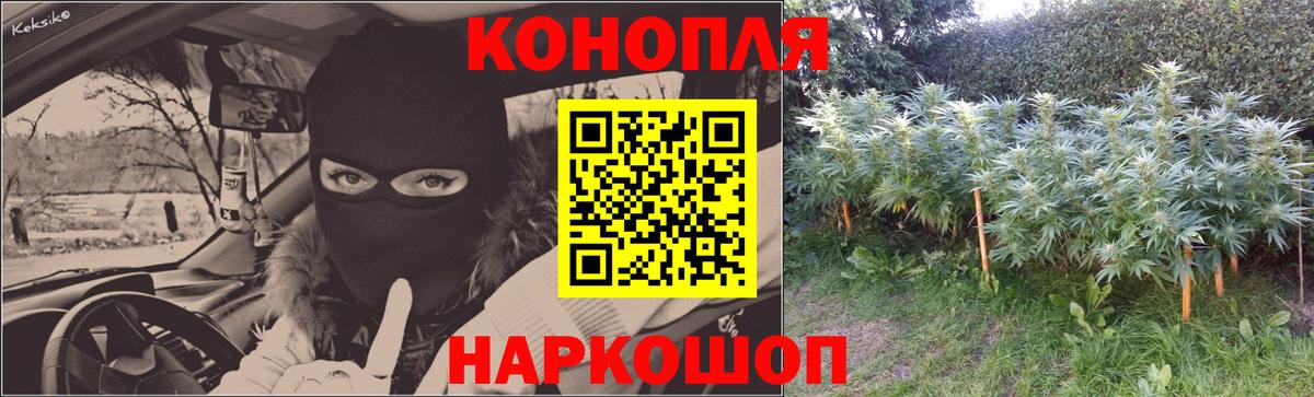 Шишки марихуана план Усть-Илимск